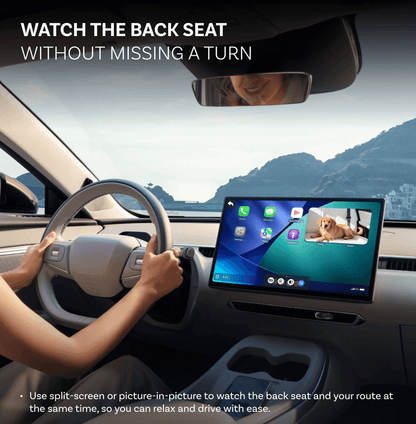 Cabin Care Wireless CarPlay Adapter